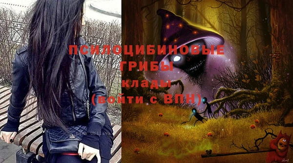 дживик Алексин