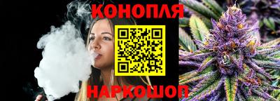 apvp Гатчина