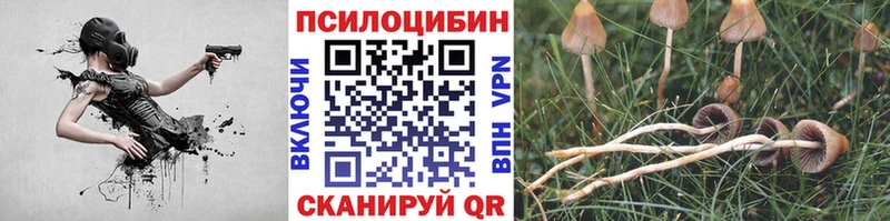 купить   Белебей  Галлюциногенные грибы GOLDEN TEACHER 
